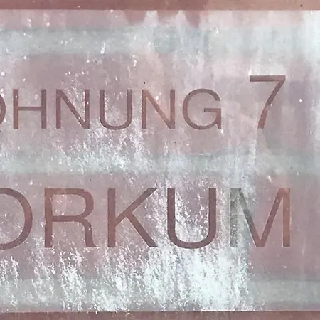 7-borkum Dornum