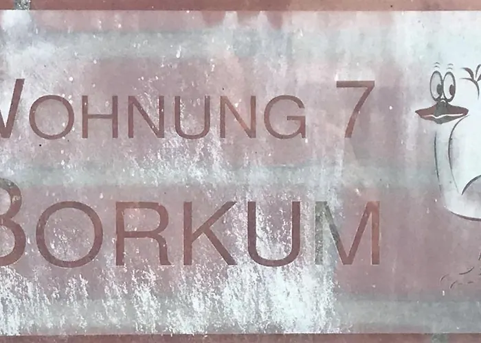 7-borkum Dornum